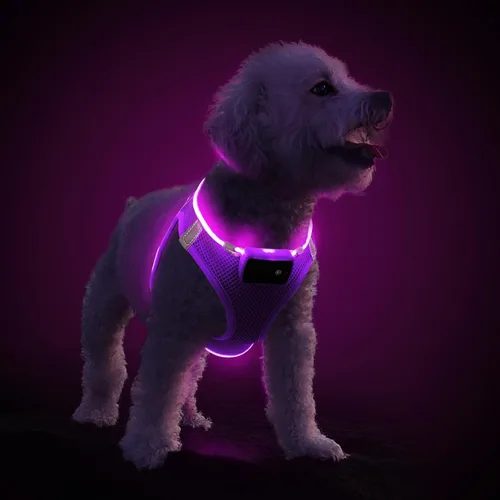 Vista 10 de PceoTllar Arnés para perro con luz LED, reflectante sin tirones, luz intermitente para caminar por la noche, talla S/M, (azul XS)