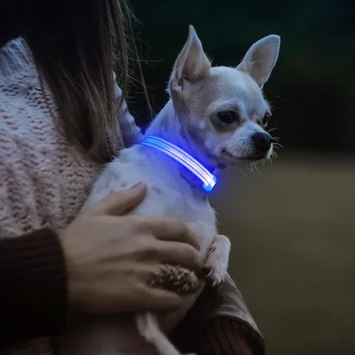 Vista 6 de Visinite Collares de perro iluminados para perros pequeños, collar de perro LED recargable con luz, collar de perro iluminado totalmente ajustable