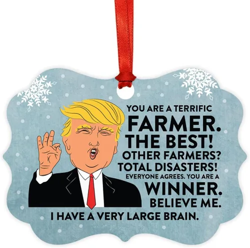 Vista 75 de Andaz Press Presidente Donald Trump Fancy Frame Recuerdo Adorno de Navidad Regalo de broma, excelente contador, 1 paquete, divertidas ideas