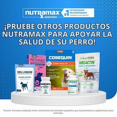 Vista 6 de Nutramax Cosequin Elements Suplemento para articulaciones, glucosamina para perros, 75 unidades Suplemento articular para perros, glucosamina