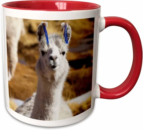 Vista 8 de 3dRose Taza de café, tamaño - 15oz - Argentina, Santa Rosa de los Pastos Grandes, llama - SA01 JRI0222 - Jutta Riegel Llamas - divertida taza