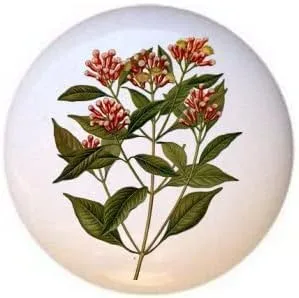 Vista 19 de Hierbas Especias Cocina Cocina Cocinar Hornear Hornear Decorativo Cerámica Cajón Tiradores Armario Perillas (pimienta de Jamaica)