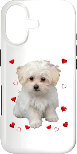 Vista 32 de Funda para iPhone 11 Maltipoo Mix Fans para amantes de los perros maltés