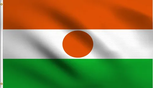 Vista 161 de DMSE - Bandera nacional beninesa beninesa de la República de África Occidental, 2 x 3 pies, 100 % poliéster, 100 % poliéster, resistente a los rayos