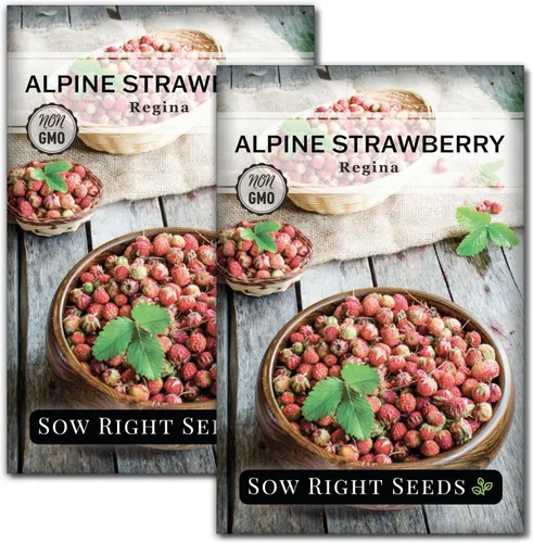 Vista 6 de Sow Right Seeds - Semillas de fresa Regina Alpine para plantar - Paquete de reliquia sin OMG con instrucciones para plantar y cultivar un huerto