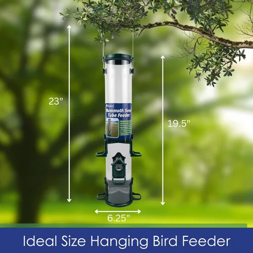Vista 6 de Alimentador de tubo para pájaros, alimentador de tubo verde mamut de 6 puertos con tapa de metal, perchas y puertos, capacidad para 10 tazas