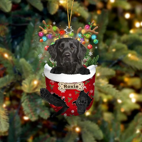 Vista 86 de LOVELYPOD Adorno Personalizado de Perro Affenpinscher, Adornos de Navidad Affenpinscher Regalo para Amante de Perros, Adorno de Navidad Colgante