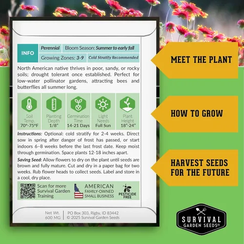 Vista 2 de Survival Garden Seeds - Semillas de flores para plantar - Paquete con instrucciones para plantar y cultivar Gaillardia Pulchella en el huerto de tu