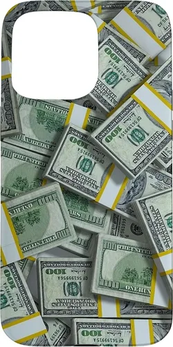 Vista 31 de Pile Money Finance Currency 100 Dollar Stacks Bill s Success Case para iPhone 17