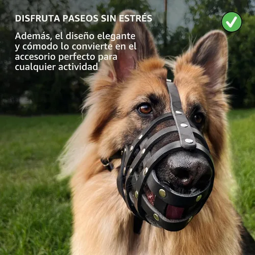 Vista 5 de CollarDirect Bozal de cuero para cesta, GSD y Doberman (negro, grande)