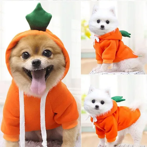 Vista 15 de Sudaderas con capucha para perro, ropa de rana para mascotas, suéter cálido de invierno, abrigo, ropa para perrito, ropa para cachorros, disfraz