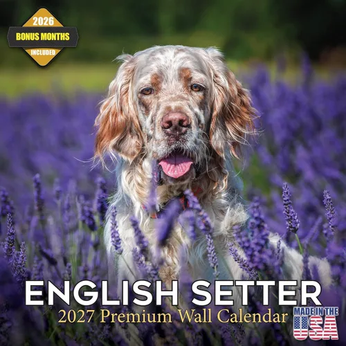Vista 170 de Calendario de Lebrel Afgano 2025 2026, calendario mensual de pared de raza canina, 12" x 18" abierto, papel grueso sin traspaso, ideal para regalo