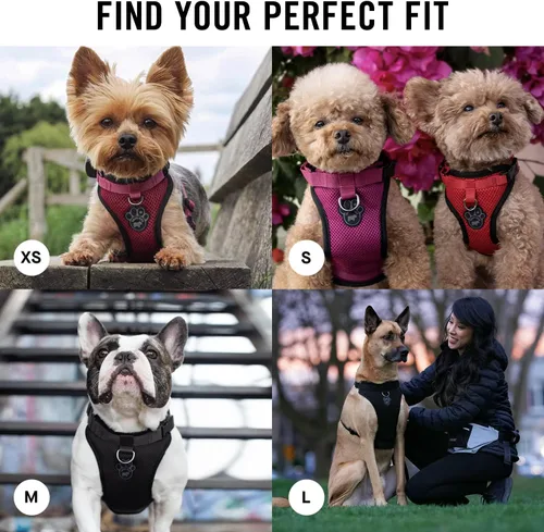 Vista 5 de Canada Pooch Arnés para perro Everything sin tirones, arnés fácil de caminar para perros con exterior de malla transpirable, arnés ajustable