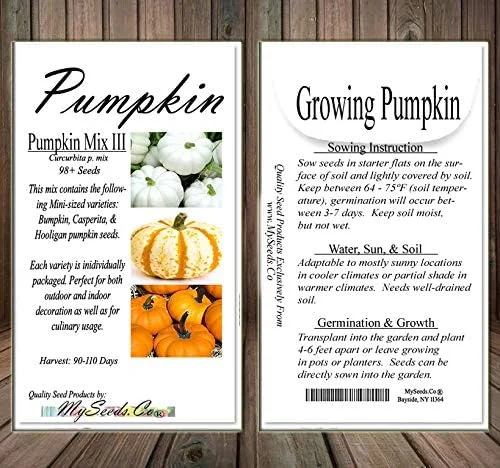 Vista 8 de Paquete grande (más de 98 semillas) variedades de calabaza miniatura (Bumpkin, Casperita, Hooligan) perfectas para decoración de exteriores e