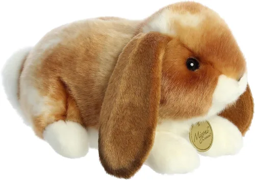 Vista 3 de Aurora - Miyoni - Conejo Holland Lop de 9 pulgadas - Bronceado