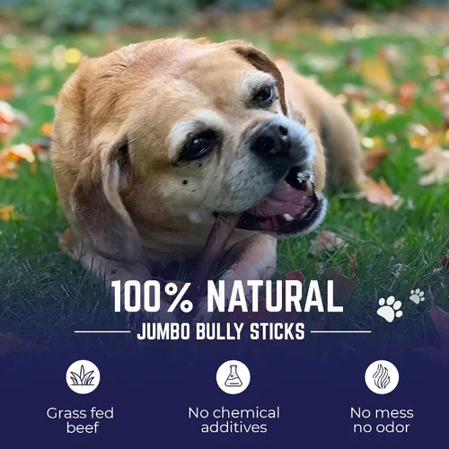 Vista 2 de Devil Dog Pet Co. Palitos Bully Trenzados para Perros – Paquete de 3 Golosinas Masticables de 6 Pulgadas, 100% Naturales, de un Solo Ingrediente