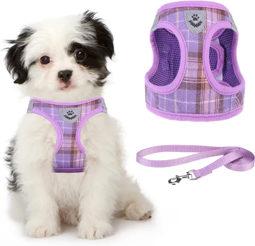 Vista 14 de Arnés de malla suave para cachorros – Juego de arnés y correa para perros pequeños, ajustable y cómodo chaleco reflectante acolchado para cachorros