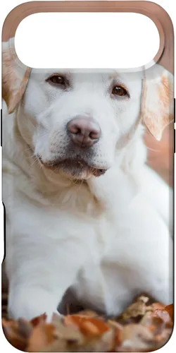 Vista 27 de Labrador Retriever Dog Lover - Carcasa para iPhone 17