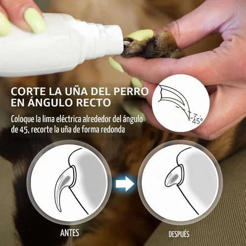 Vista 3 de Rexipets - Cortadora de uñas para perro, recargable, profesional, con LED, recargable, eléctrico, para mascotas, sin dolor, con patas de aseo