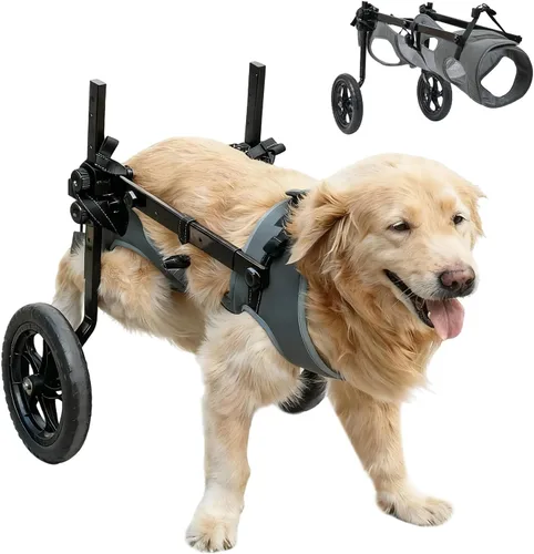 Vista 9 de Silla de ruedas para perros para patas traseras, carrito de ruedas ligero para perros con patas traseras para discapacitados, ajustable