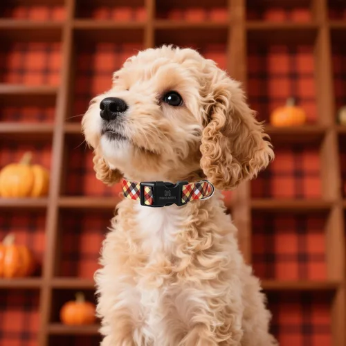 Vista 2 de Maca Bates - Collar de perro ajustable a cuadros para perros pequeños, medianos y grandes, con patrones, collares para perros para niños y niñas