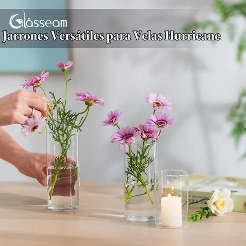 Vista 5 de Glasseam Jarrón cilíndrico de cristal transparente, florero de cristal 6pcs