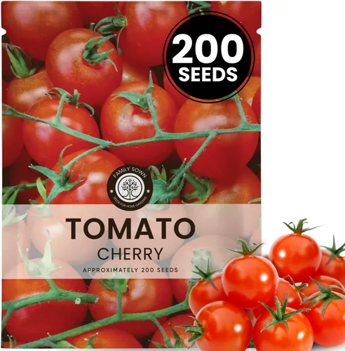 Vista 15 de Matt's Wild Cherry Tomate – 400 semillas premium para plantar – Tomates cherry prolíficos, dulces y de crecimiento vigoroso para la temporada 2026