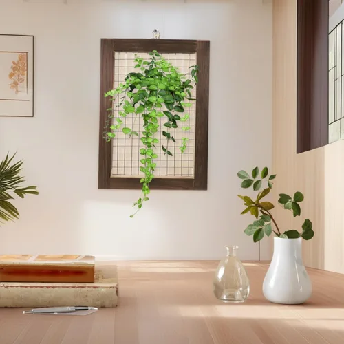 Vista 2 de Kit de montaje de helecho cuerno de ciervo, maceta colgante de pared de madera para orquídeas y jardín vertical, tablero de soporte para plantas