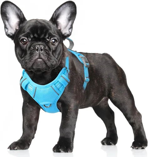 Vista 33 de BARKBAY Arnés para Perro Sin Tirones Talla Grande Arnés Reflectante para Perro con Clip Frontal y Asa de Control Fácil para Caminar Entrenar Correr