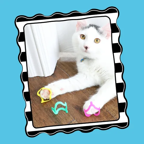Vista 3 de Juguetes interactivos para gatos Petmate - Pack múltiple Cat Crazies de Petmate, 4 unidades (Paquete de 1)