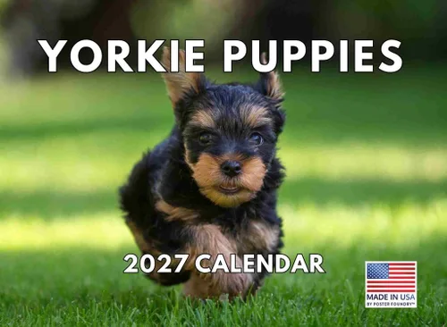 Vista 23 de Calendario mensual de pared Airedale Terrier Dog 2027