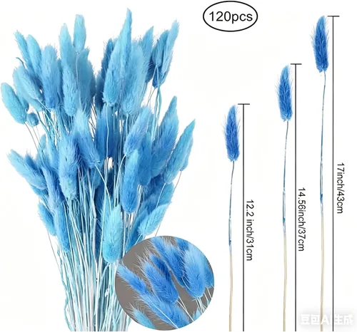 Vista 3 de 120 colas de conejo azul cielo, hierba natural de las pampas de 17 pulgadas