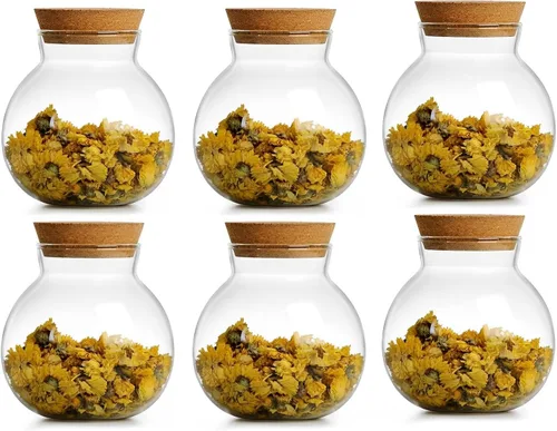 Vista 11 de Tarro de vidrio esférico de 17 onzas con tapa de corcho hermético, tarro de vidrio de cocina para conservar y almacenar dulces, té, café, especias