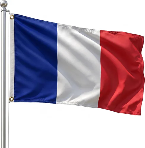 Vista 84 de DMSE - Bandera nacional beninesa beninesa de la República de África Occidental, 2 x 3 pies, 100 % poliéster, 100 % poliéster, resistente a los rayos
