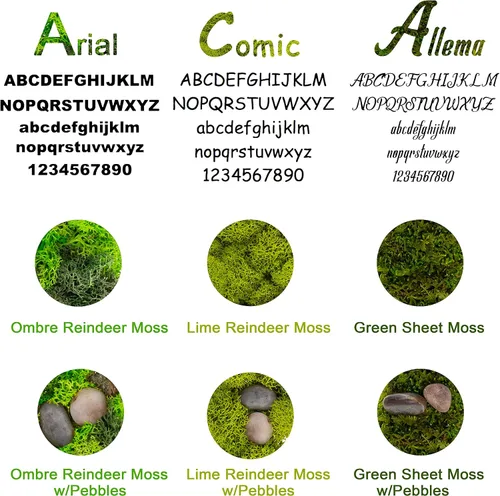 Vista 7 de Iniciales de monograma preservadas Moss Letter Art Design & Decor Arreglo de pared - Personalízalo