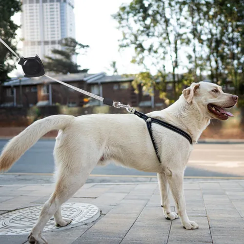Vista 5 de Alipis Correa retráctil automática para perro, cuerda de tracción telescópica de gran tamaño, mango cómodo para caminar, trotar, senderismo