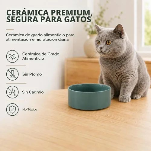 Vista 4 de Havniva Juego de 2 cuencos para gatos de cerámica de 5.1 pulgadas, cuenco