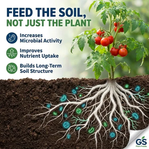 Vista 5 de GS Plant Foods Fertilizante Líquido de Pescado y Algas Kelp (1 Galón) – Alimento Vegetal Natural Listado por el Instituto de Revisión