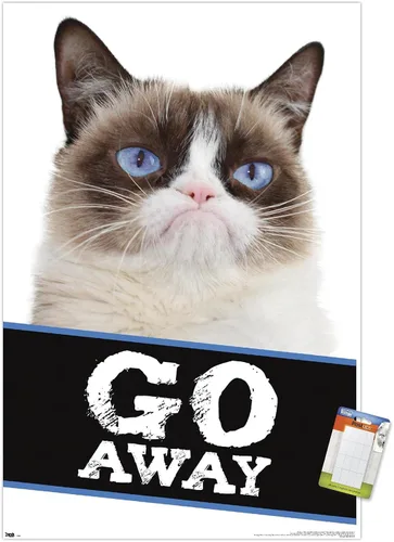 Vista 11 de Trends International Grumpy Cat - Póster de pared con texto en inglés «Go Away», 14.725 x 22.375 pulgadas, versión enmarcada de madera de granero