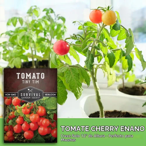 Vista 4 de Tiny Tim Semillas de tomate - Semillas de jardín de supervivencia (paquete de 1) Dwarf Cherry Tomatoes for Planting Indoors or Patio, Compact