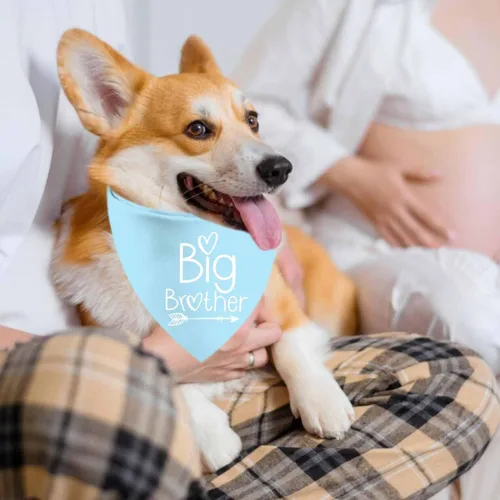Vista 6 de Pañuelos para Perros Big Sister Big Brother, Bandana Ajustable de Doble Cara para Mascotas para Anuncio de Embarazo, Bufanda Triangular para Perros