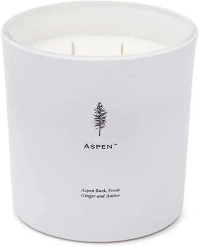 Vista 2 de Archipelago Botanicals Aspen Luxe - Vela Aspen Bark, aroma a ámbar y almizcle, elegante vela en tarro de vidrio blanco, cera de coco, mechas dobles