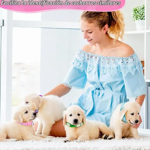 Vista 7 de Auidy_6TXD - 14 collares ajustables para cachorros de arena
