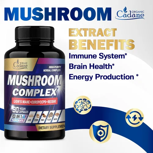 Vista 4 de Organic Cadane Suplementos de complejo de hongos – Salud cerebral, sistema inmunológico, memoria y producción de energía – 13 en 1 con hongos melena