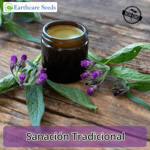 Vista 5 de True Comfrey 50 Semillas (Symphytum officinale) Sin OGM, Herencia