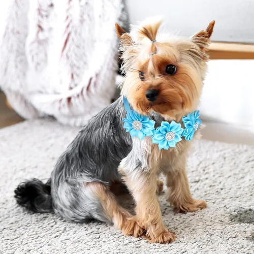 Vista 5 de Jexine 60 pajaritas para perros a granel, collar ajustable para mascotas