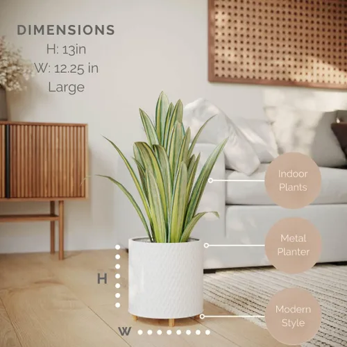 Vista 2 de EverNest Claire Modern Maceta de interior con soporte, patrón blanco, 12 pulgadas, base selectBase, estilo moderno neutro de mediados de siglo