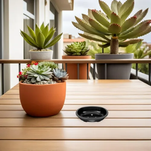 Vista 4 de 2 macetas ovaladas de plástico, macetas transpirables para suculentas, cactus, bonsáis, plantas de interior, maceta reutilizable, macetas de jardín