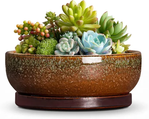 Vista 24 de Succulent Pots, 6 Inch Ceramic Bonsai Pots with Saucer, Blue