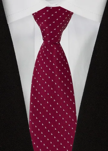 Vista 6 de Adulove Corbata clásica de seda tejida jacquard para hombre